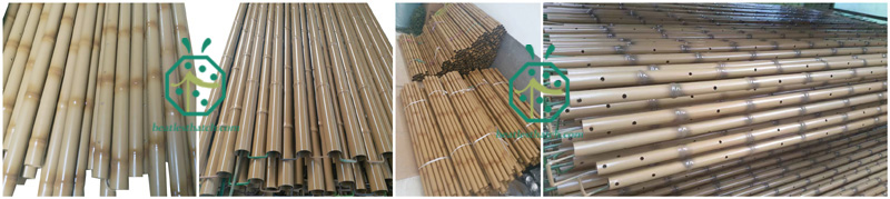 Garden or park landscape decoration steel bamboo fence screening poles