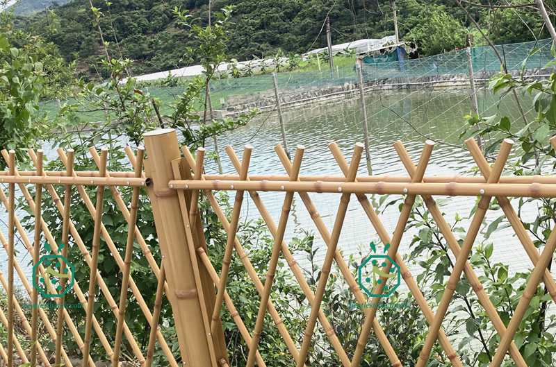 Iron bamboo poles for municipal road fencing decoration