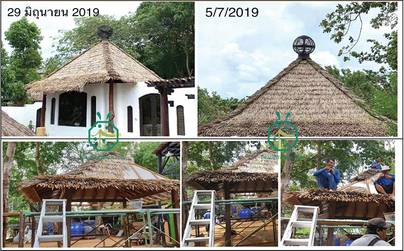 Installation von Faserstrohdächern für den Bau von Blockhütten im Garten eines Resorthotels