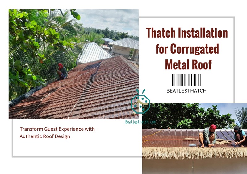 Corrugated Steel Panel To Cover With Thatched Roof