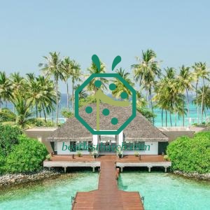 Palapa-Designs für synthetische Strohdächer