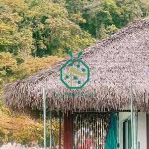 Dachsanierung des Bungalows über dem Wasser mit künstlichem Cadjan-Reet