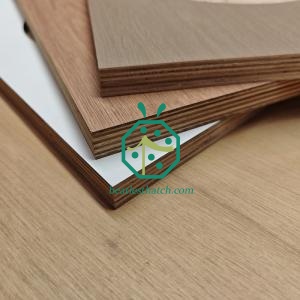 High Quality Plywood for Synthetic Thatch Roof Construction in Tropical Countries
