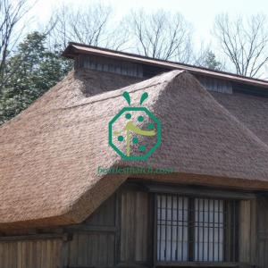 Artificial Japanese pampas grass thatch roofing materials