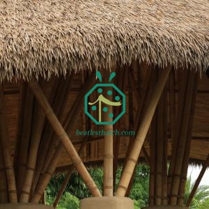 Palapa imitation thatch roofing