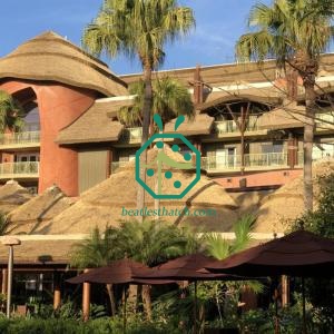 Fireproof Reed Thatch Roofing Materials For Palapa