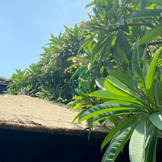 Compound UV-proof additives Synthetic Grass Thatch Tiles Product