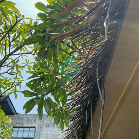Tourism Building Fake Makuti Thatch Roof Panels for Roof Refurnishment