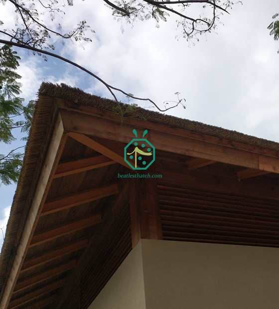 Projekt für die künstliche Strohdachdeckung am Hotel-Patio am Wasser