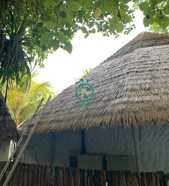 Maldives Resort Hotel Künstliches Reetdachprojekt für Soneva
