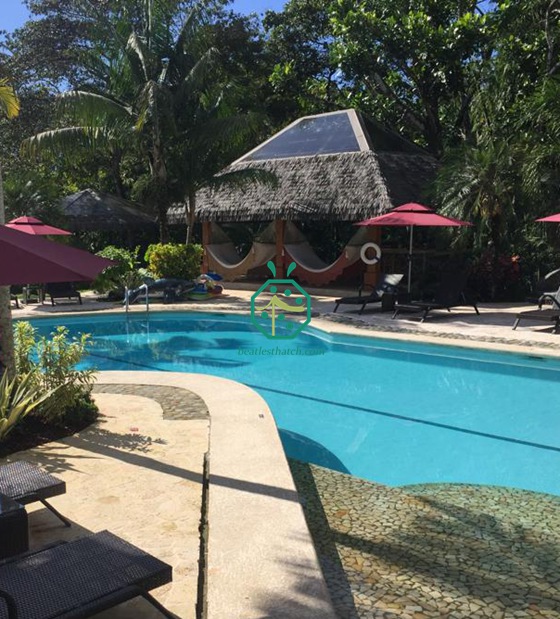 Costa Rica synthetisches Häuschen Strohdach im Regenwald