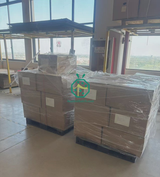 Lieferungen von Glasfaser-Dachmaterialien und Sichtschutzwänden von den Seychellen