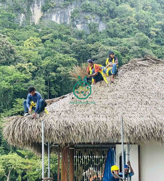 Feuerfeste Nipa-Hüttenkonstruktion auf den Philippinen
