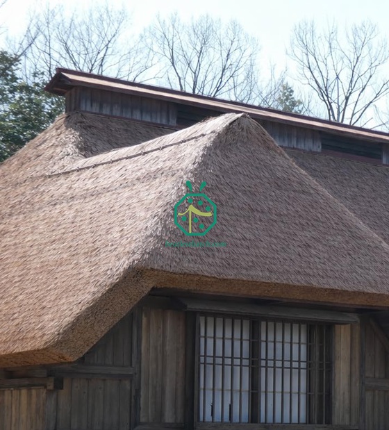 Dachdeckung mit synthetischem Stroh für das Nagoya Little World Projekt