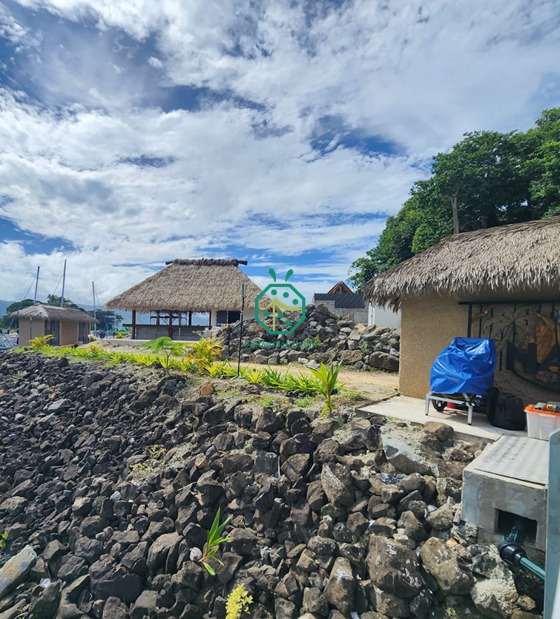 Hausbau auf den Fidschi-Inseln mit synthetischen Palmstrohplatten